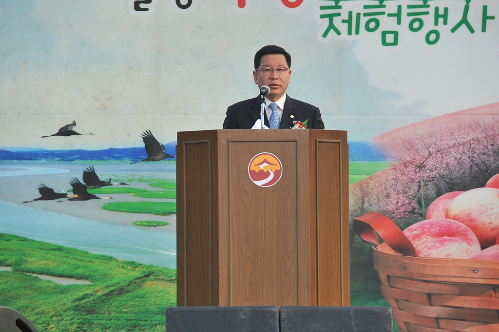 제10회 월등복숭아축제