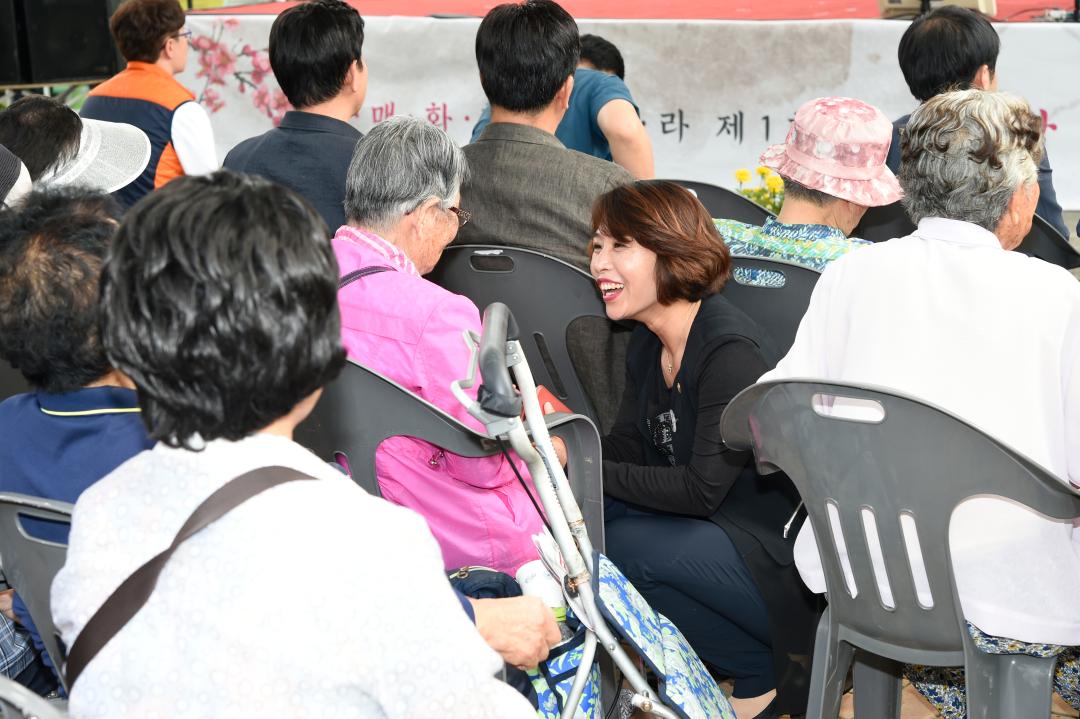 제1회 매곡동 탐매축제