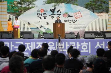 월등복숭아 축제