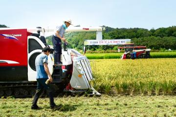 조기 햅쌀 생산단지 벼베기 행사