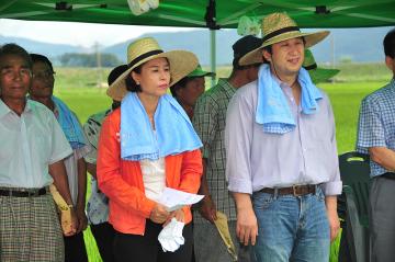 하늘아래 첫쌀 순천햅쌀 벼베기