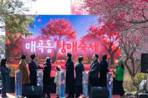 2026_3_7(토)_제8회 매곡동 탐매축제