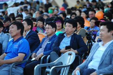 제12회 월등 복숭아 축제