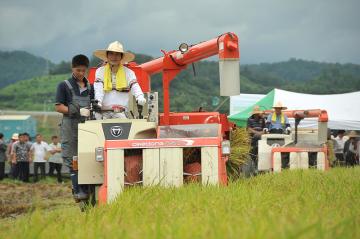 2009 조기햅쌀 생산단지 첫 벼베기 행사(2009.08.13)