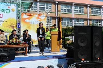 북초등학교 동문체육대회