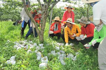태풍 볼라벤 피해복구 지원