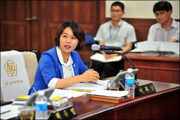 신대배후단지조사 특별위원회