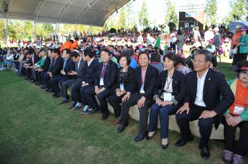 제17회 노인의날 행사 기념식