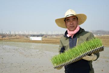 『하늘아래 첫쌀 순천햅쌀』 전국 첫 노지 모내기