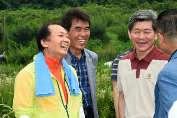 조기햅쌀 생산단지 노지 첫 벼베기 행사