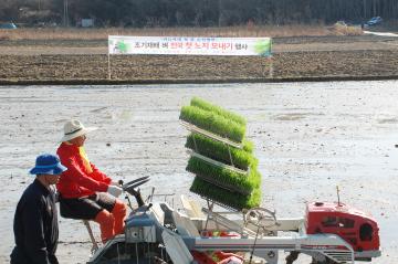 조기재배 벼 전국 첫 노지 모내기 행사