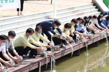 모기 유충 방제를 위한 미꾸라지 방류 행사
