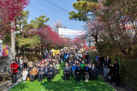 2026_3_7(토)_제8회 매곡동 탐매축제