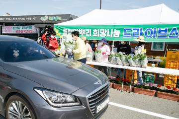 순천만국가정원 튤립 알뿌리 희망 나눔 행사